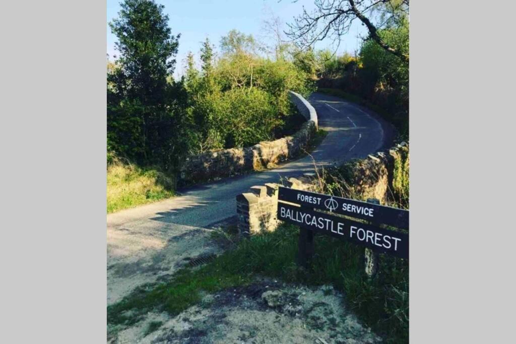 The Forest - Stunning * Ballycastle